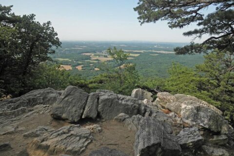 Frederick County Council rejects restrictive zoning rules for Sugarloaf Mountain